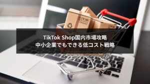 TikTok Shop国内向け戦略を活用する中小企業向け低コスト戦略のイメージ